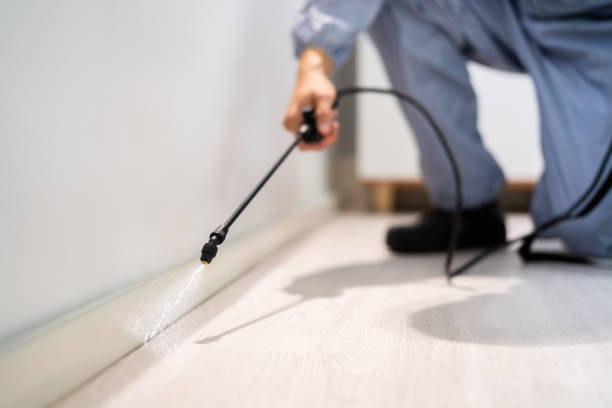 Licensed Termite Control service in William Paterson University of New Jersey, NJ - Nex Pest Control